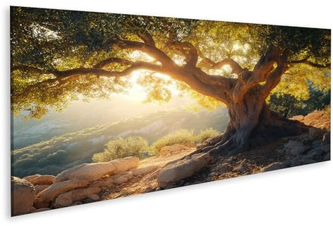islandburner Tableau sur toile Vieux olivier au coucher du soleil pour salon, amoureux de la nature, magasin de fleurs, images murales poster
