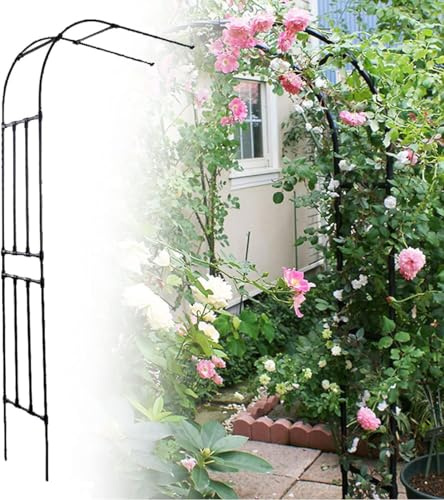 Arco da giardino in metallo mezzo traliccio rotondo per piante rampicanti in ferro battuto nero arco per rose robusto pergolato da giardino 240 x 240 cm decorazione esterna