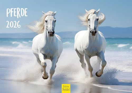 Edition Seidel Calendario premium de caballos 2026, formato DIN A4, calendario de pared, caballo, animales, potro, yegua, semental, naturaleza