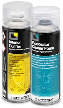 Errecom Total Care - Kit Completo Pulizia e Igienizzazione Climatizzatore Auto e Abitacolo | Pulitore Schiumoso Impianto A/C + Spray Igienizzante Abitacolo One-Shot Limone | 2 x 200 mL