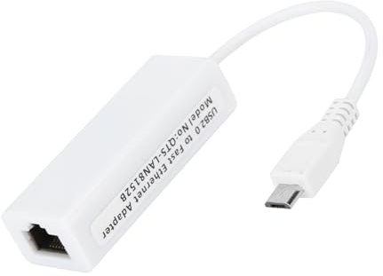 Adaptateur de Carte Réseau Micro USB vers Port Ethernet RJ45 pour Carte Mère 1.3/W