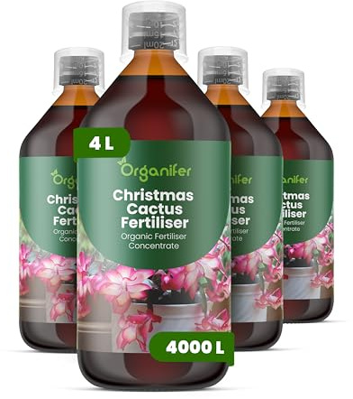 Fertilizante Líquido Orgánico 4x1L Para Cactus De Navidad En Maceta – Plantas Saludables – Organifer