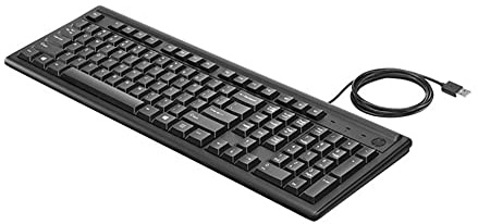 HP Keyboard 100 Filaire