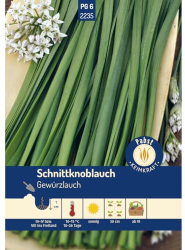 Pabst Keimkraft - Schnittknoblauch mehrjährig & würzig Gewürzlauch Samen - 172235