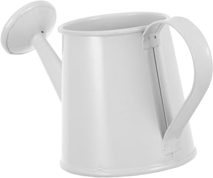 BAZEITFLOW Regadera Mini de Hierro para Plantas Pequeñas Color Portátil y Decorativa para Suculentas y Escritorio