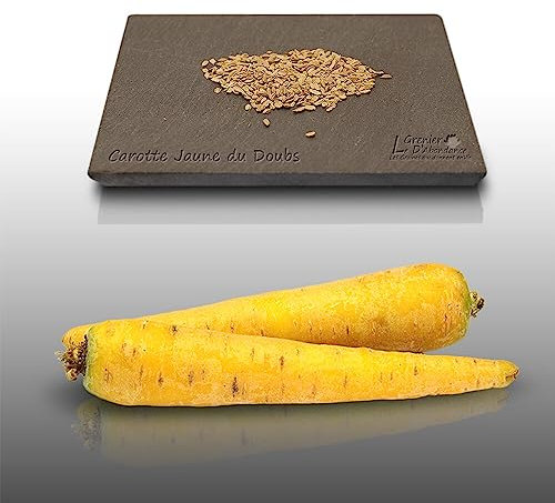 500 graines à semer - Le Grenier d'Abondance - CAROTTE Jaune du Doubs - Daucus Carota