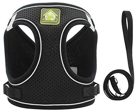 Nylon Mesh Welpen Katzengeschirr Weste Reflektierend Hundegeschirr und Leine für Chihuahua Mops Kleine und Mittlere Laufleine Leder Leine L Schwarz