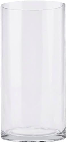 PEPAXON Glasvase für Blume Transparente Vase Hoher Zylinder Klare Blumenvase Transparente Vase für Tischdekoration (10x20cm)