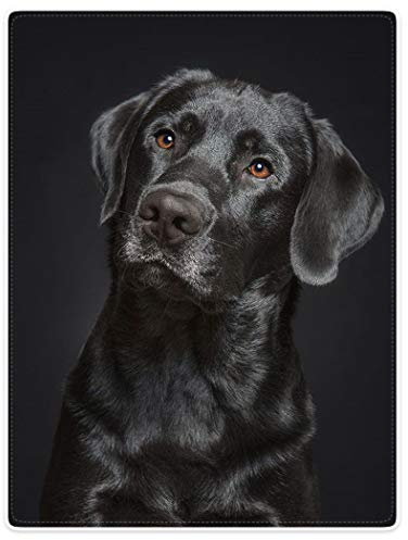Kuscheldecke Schwarzer Hund Wunderschönes Labrador Atemberaubendes Foto Decke Sofa Weich Fleecedecke Personalisierte Tagesdecke Bettüberwurf, Für Bett, Couch, Schlafzimmer, 125x150cm