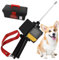 Celuicion Prueba De Embarazo Canino Para Uso Doméstico - Dispositivo De Detección Con Sonda Magnética 5 cm | Accesorios De Cría Canino Con Cordón Detector De Ovulación Impermeable Alimentado Por