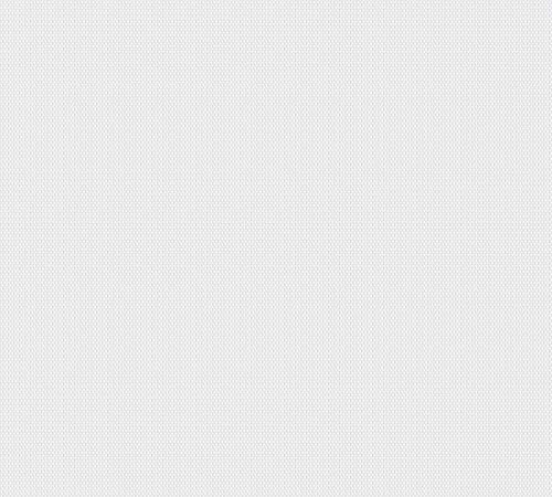 A.S. Création 90331 9033-1 - Carta da parati in fibra di vetro, verniciabile, resistente agli urti e ai graffi, 50 m x 1 m, colore: Bianco