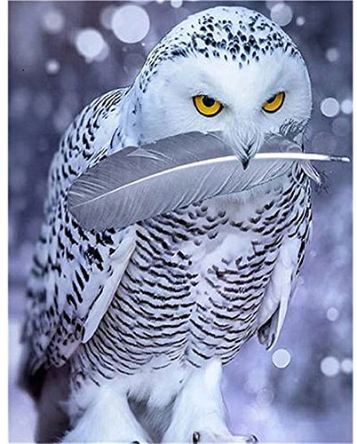 DCIDBEI Diamond Painting Schneeeule 30x40cm Schneeeule Vollmond | Diamond Painting Diamant Painting Bilder Tiere Sticken für Anfänger Malen nach Zahlen Mädchen Stickerei Kreuzstich Set