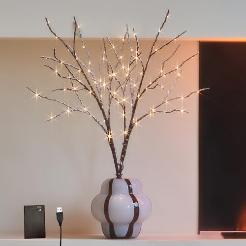 Hairui Beleuchtete Weidenzweige mit Schneestaub, batteriebetrieben mit Timer, Baumzweig-Lichter, 81,3 cm, 100 LED-Lichterkette für Zuhause, Schlafzimmer, Kamin, Erntedankfest, Weihnachtsdekoration