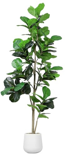 Jocoevol Artificial Fiddle Leaf Tree, 7ft Faux Plant Fake Ficus Lyrata Trees with White Planter, Artificial Fig Trees Floor Plants for House Office Living Room Indoor Home Decor, Housewarming Gift
