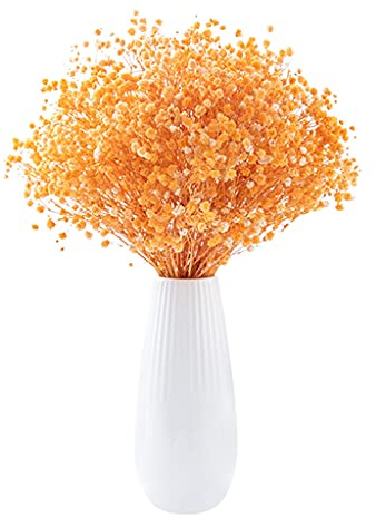GUMEI Brautstrauß 70cm Natürliches Schleierkraut Trockenblumen Schleierkraut Blumensträuße für Heimtextilien Foto Requisiten Hochzeitsdekor Keine Vase