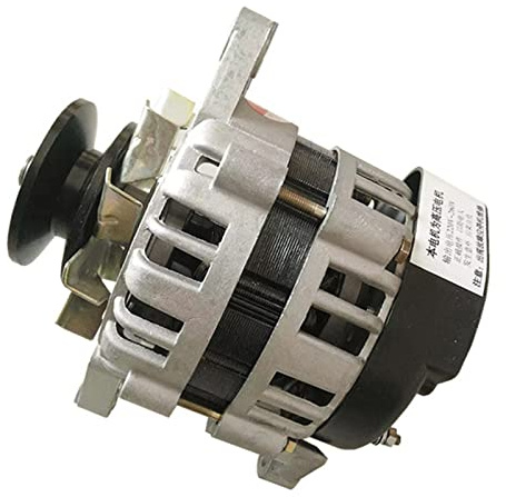 JINTIANSDS Generatore di corrente domestico 220V, Motore per la casa della tensione costante senza spazzole, Core Rame Home Lighting Piccola alternatore-220V 800W
