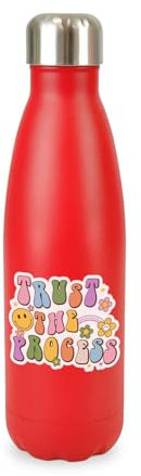 New Spirit Original Trust the process screw top lid stainless steel water bottle drinks cup water bottle refill cute fun explore travel