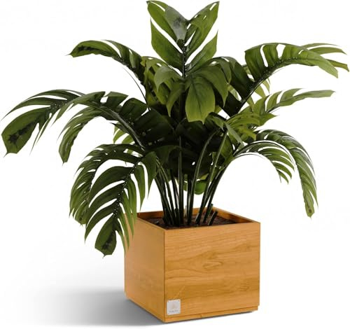 Teak Pur Pflanzkübel Holz XL 50x50x40 cm – Blumenkübel aus massivem Teakholz – Pflanzkübel quadratisch – Pflanzkasten Holz – Blumentopf Naturholz – Pflanzkübel in 3 Größen