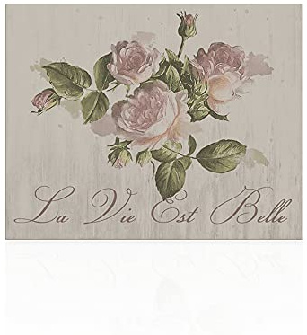 Declea Home Decor CN012SS21 Quadro su Tela Fiori la Vie Est Belle Stampa Immagini Moderni Murale, Quadro Moderno Floreale Pronta da Appendere con Telaio in Legno, Multicolore, 60 x 40 cm