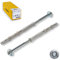 STRÜBER Rahmendübel mit Sechskantschraube & Scheibenkopf mit SW/TX-Buchse (8x80 mm / 100 Stück) Torx - Fensterrahmendübel - Langschaftdübel - Wandrahmenbefestigung - Nylondübel - ETA Zulassung