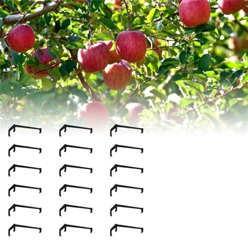 Gren spridare 100 st fruktträdgrenar hållare växtstöd fruktgren spridare trädgren stödram för gård frukt träd grenar. Gren benders