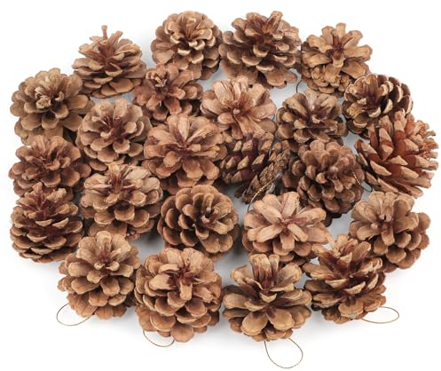 Larber 24 Stück Tannenzapfen Groß,5cm Kiefernzapfen mit Goldenem Schlüsselband, Zapfen Deko Weihnachten für Weihnachtsbaum,Winterdekoration