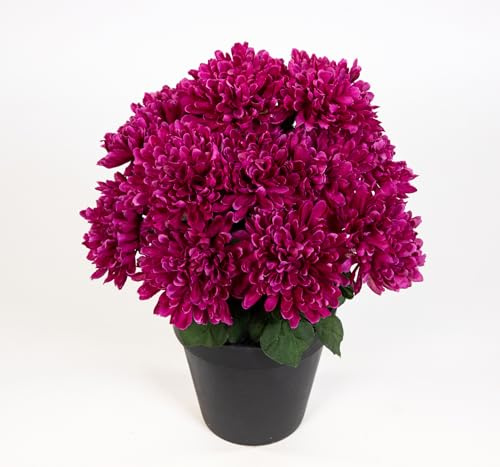 Seidenblumen Roß Chrysantheme 26cm Fuchsia im Topf DP Kunstpflanzen künstliche Pflanzen Blumen Kunstblumen