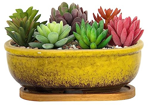 pots de fleurs rectangulaires de 20 cm de long avec plateau de drainage, pots peu profonds pour plantes d'intérieur - Pots de cactus en céramique émaillée pour décoration de rebord de fenêtre de
