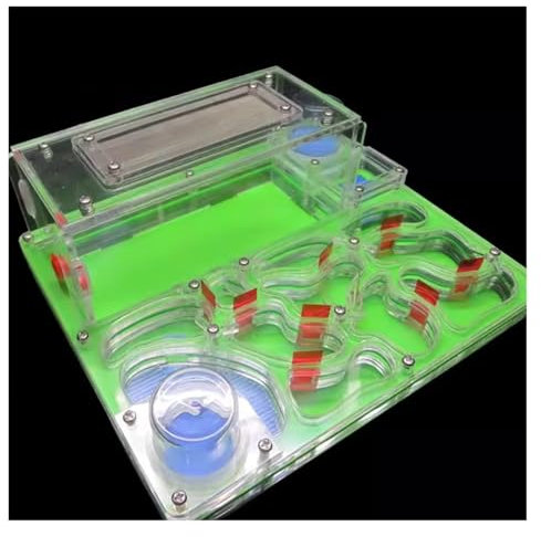Ameisenfarm Formicarium DIY Acryl Ameisennest Große Flache Farm Mit Fütterung Bereich Großes Haus Für Haustier Hill Werkstatt Schloss Für Studie Ameisenfarm für Draußen(Grün)
