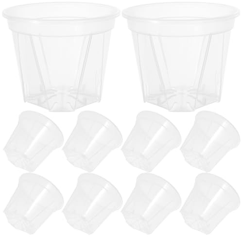 Angoily Macetas Transparentes para Orquídeas con Drenaje 10 Piezas Plástico Transpirable Diámetro 10 CM X Altura 82 CM Ideales para Plantas de Interior y Suculentas Jardinería y