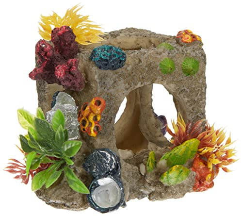 Europet Bernina Décor pour Aquarium en Polyrésine Cube Habitat Taille S 12 x 11, 5 x 11 cm