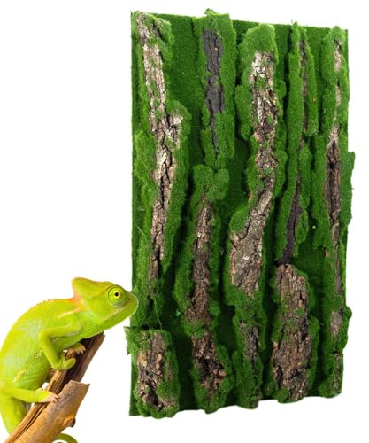 Reptil kork terrarium bakgrund – 30 x 50 cm bark, flockande mossark, klättring livsmiljöpanel | perfekt för geckoödla sköldpadda kameleont terrarium tank vivarium hölje dekoration husdjur