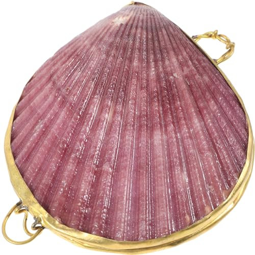 LIFKOME Shell Jewelry Aufbewahrungsbox Natürlicher Schmuckhalter Praktischer Organizer Für Ohrringe Und Kleinteile Elegantes Design Für Unterwegs Für Schmuckliebhaber Und Reisen