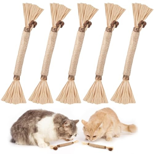 JOOTUEPO 5 Pièces Morceaux de Bâtonnets d'herbe à Chat Bâtons à Mâcher Dentaires Aident avec Le Tartre et La Mauvaise Haleine Hygiène Saine Soins et Rafraîchir L'haleine