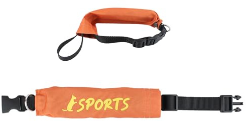 Jeruytgh Hundehalsband mit Leinen, 2-in-1-Leinen und Halsband für kleine Hunde, verstellbare Passform, kaufest, ausbruchsicher, für Training, Gehorsamkeit, Jagd, Outdoor, Bellkontrolle, Wandern