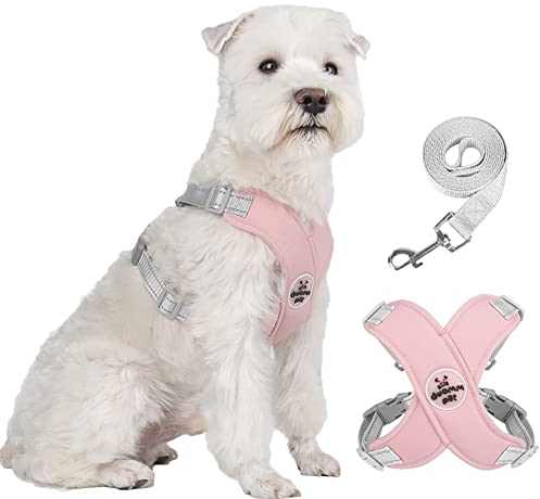 FEimaX No Pull Dog Harness and Lead Set for Small Medium Dogs Adjustable Step-in Pet Vest Harness Reflective Breathable Soft Mesh Padded Puppy Harnesses for Outdoor Walking Training