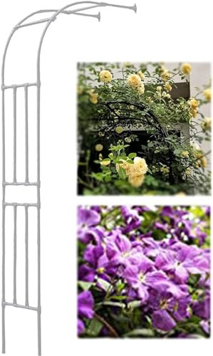 MISKYN Schwarz Rosenbogen Halbbogen Metall Wandrosenbogen Rankhilfe Rosen Torbogen Halb Rankbogen 1 Stück,Weiß,240 * 240cm