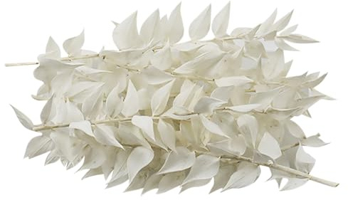 JIHUOO 10g Getrocknete Ruskusblüten Weiß Echte Eukalyptus Stiele Kleine Kuchen Dekorieren Blätter Kuchen Floral Stiele Natürliche Eukalyptus Blätter Zweige Getrocknete Blume Cupcake Dekorationen Grüne