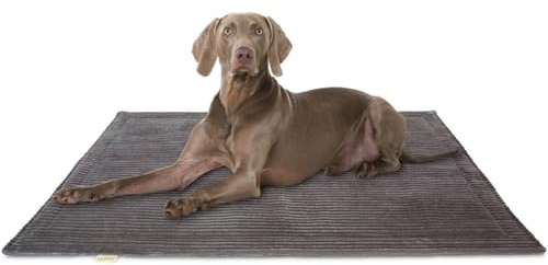Knuffelwuff Hundedecke Timor 140x100cm Anthrazit - Bequeme und Pflegeleichte Liegedecke aus weichem Cord - waschbar - für große, mittelgroße und kleine Hunde