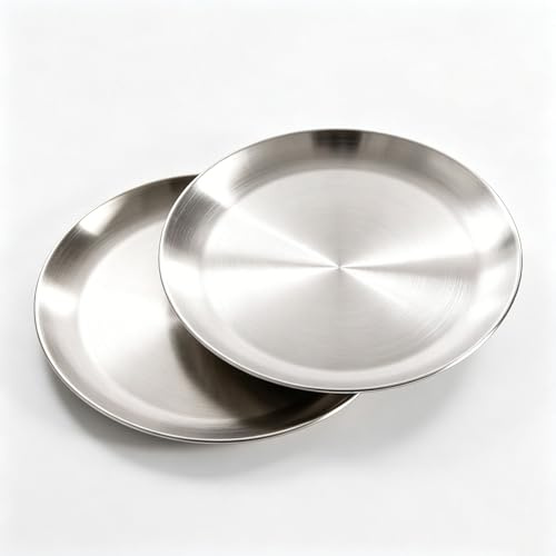 AHMistool 2 Stück CampingTeller Edelstahl, Runden Geschirr 23cm Barbecue Dish, Kuchenform, Tablett, Retro Matte Runde Servierplatte für Camping Picknick Wandern Küche Party (Silber, 23cm)