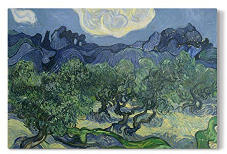 artboxONE Galerie-Print 120x80 cm Olivenbäume hochwertiges Acrylglas auf Alu-Dibond Bild - Wandbild von Culture Images