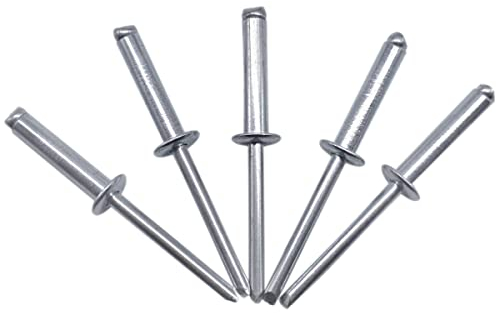 (100 Stück) Blindnieten 4,0 x 20 mm Offener Domkopf Popnieten DIN 7337 Stahlniete und Stahldorn (100, 4,0 x 20 mm)