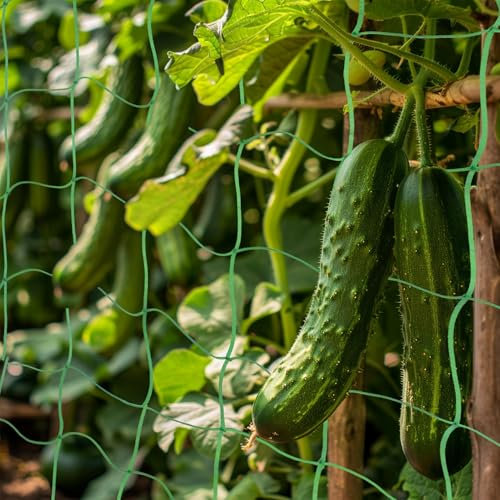 MAQIHAN - Red de enrejado para plantas trepadoras – 2 piezas de red de enrejado de jardín, red de soporte de plantas, red de escalada resistente para pepino, tomate, uva, verduras, frutas, frijoles,