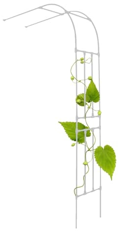 Arche de Jardin métallique Demi-Cercle, Arche de Jardin Demi-Ronde, Treillis métallique Mural, 60-240 x 240 cm, Multicolore(White,W150 x H240 cm)