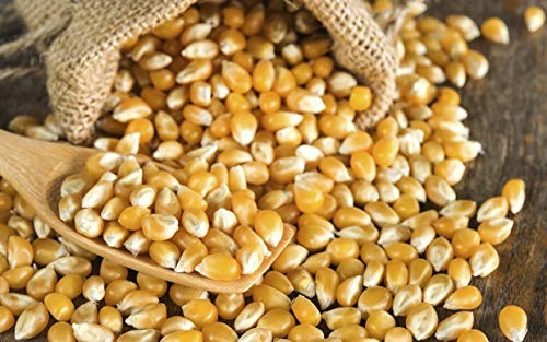 Popping Corn 1.5kg - Popcorn Kernels for Popcorn Machine Maker or Oil Pan Popped – Add Your Flavouring / Seasoning – Perfect Cinema Style Movie Night Homemade Pop Corn - PURIMA - 1.5kg Bulk Packaging