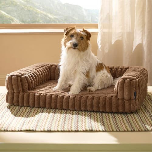 BEDSURE orthopädisches Hundebett für mittelgroße Hunde - 76x51x16.5cm