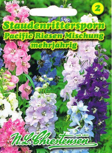 Staudenrittersporn Pacific Riesen-Mischung Delphinium Hybride mehrjährig