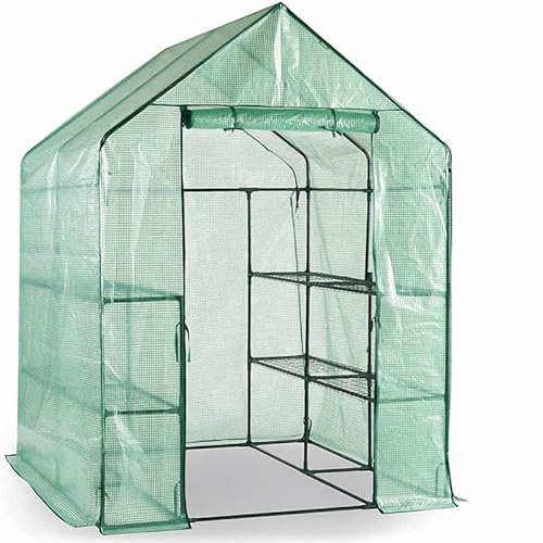Escala Serre en verre - 143 x 143 x 195 cm - Vert