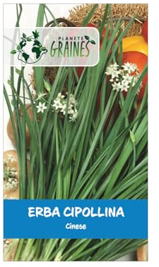 150 Sementi di Erba Cipollina Cinese - Facile da Coltivare.