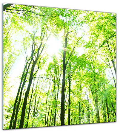 Bilderdepot24 Glasbild - Grüner Wald - 30x30 cm - Deko Glas - Wandbild aus Glas - Bild auf Glas - moderne Bilderdepot24 Glasbilder - Glasfoto - Echtglas